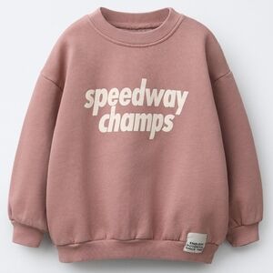 ZARA Dust Pink Speedway Sweatshirt